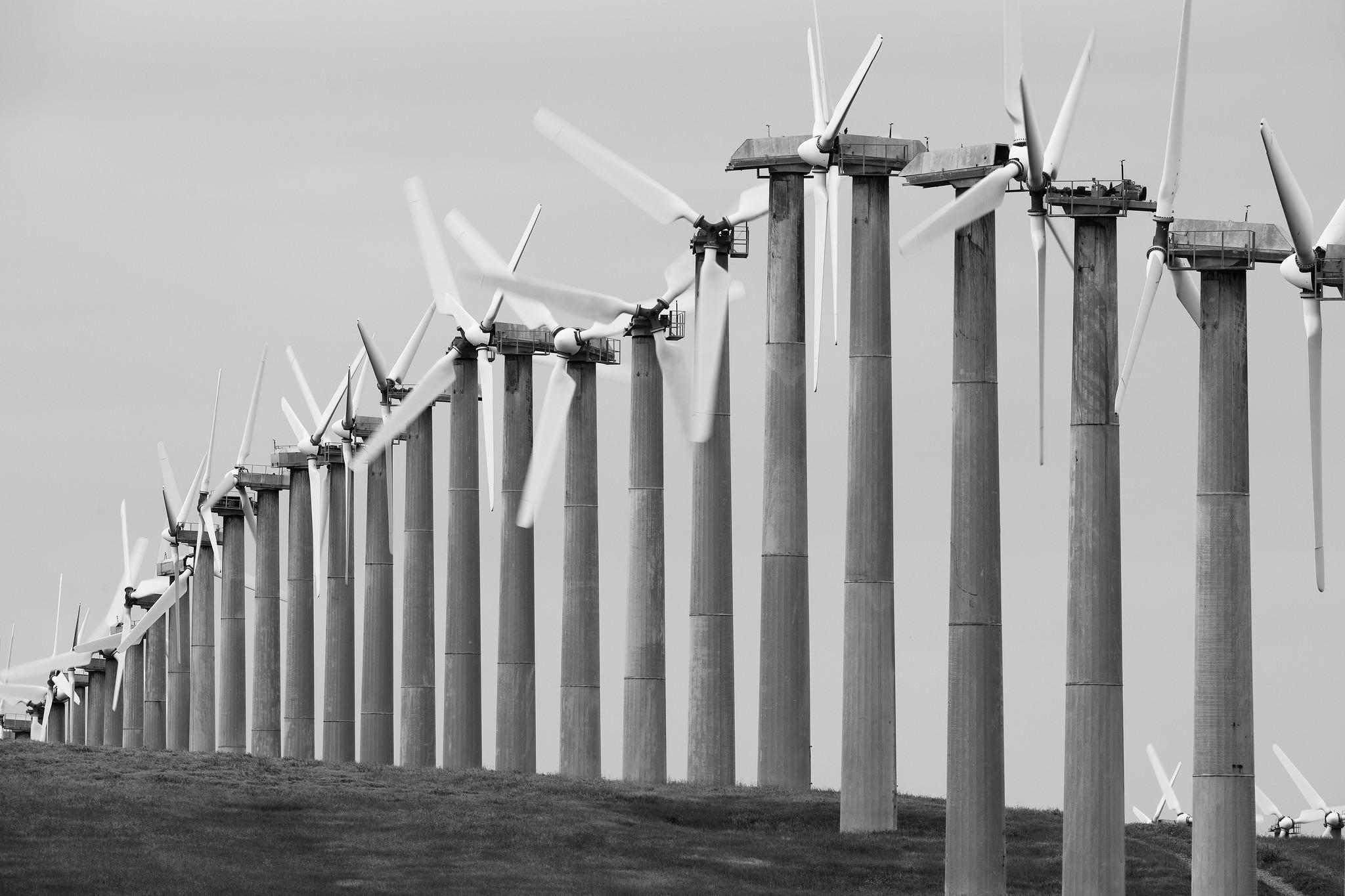 A row of wind turbines on a rolling hilltop, composed in a way that resembles a histogram.