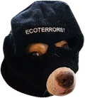 ecoterrorist