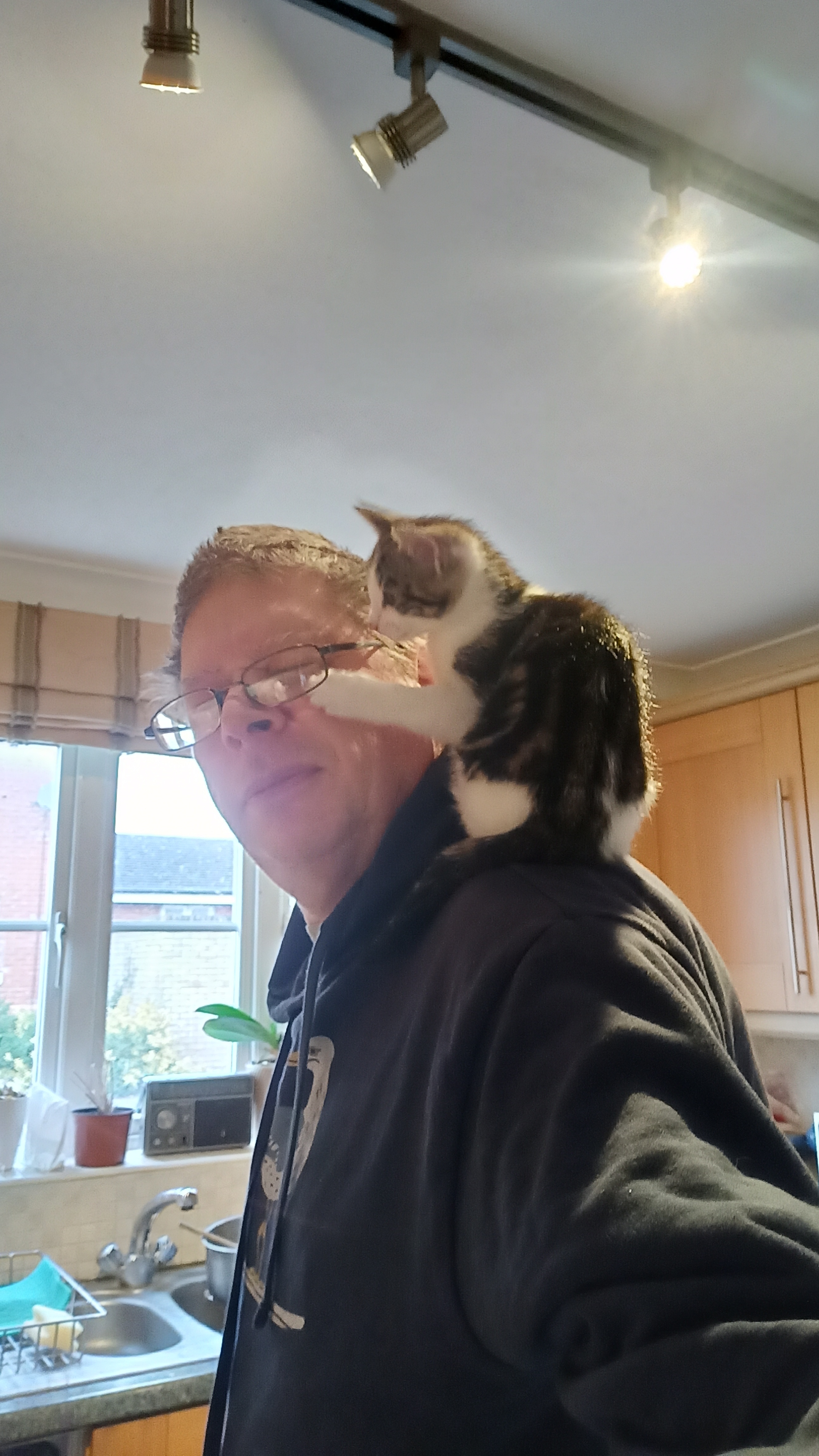 a small cat sitting on my shoulders and poking me in the eye.