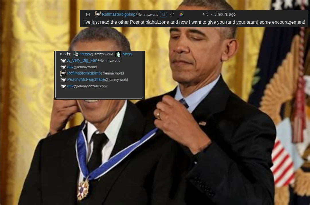 Obama awarding himself with a medal meme, with Roflmasterbigpimp awarding the first sentence of the above comment to 196@lemmy.world's mod team, which includes themself.