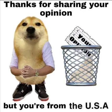 alt text: dog with human body saying "thanks for sharing your opinion, but you're from the USA", with a thrash bin at his side having a paper written "your opinion.