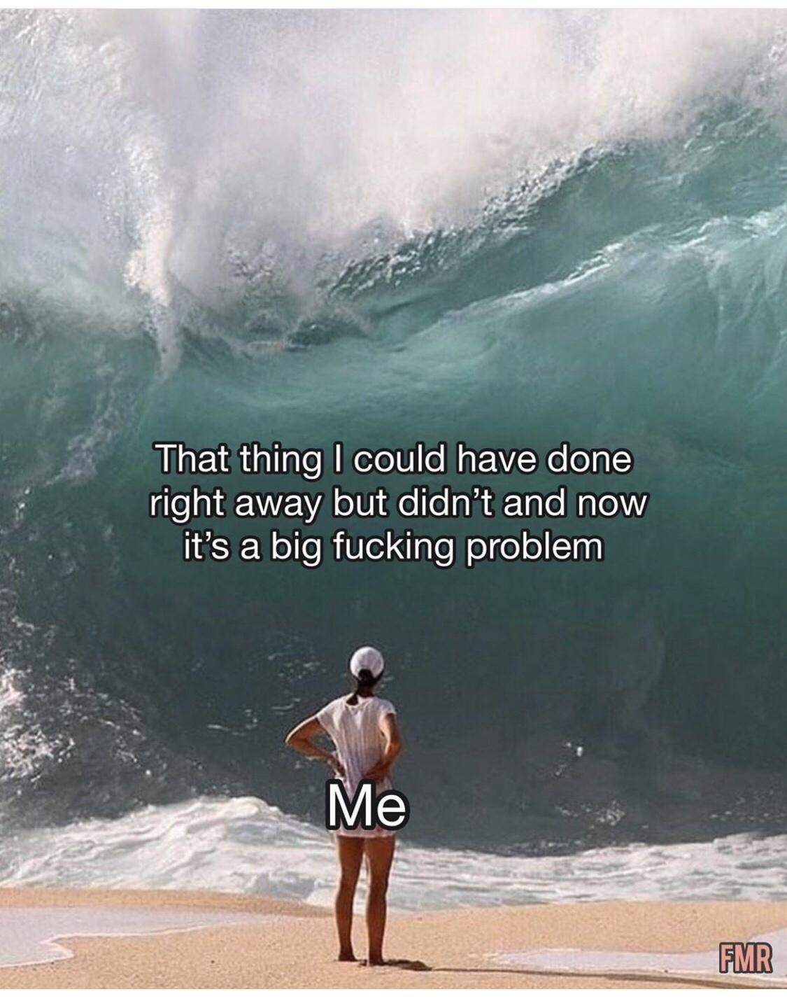 that thing I could have done but didn't and now it's a huge fucking problem.  a person stands on a beach and watches a tidal wave come at them.