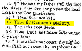 Thau shalt commit adultery 