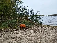 Lake Mendota Beach Bum