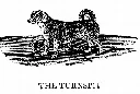 Turnspit_Dog