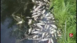 City Of Tulsa Says Hot Weather, Possible Algae Bloom To Blame For Dead Fish At Park