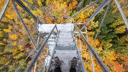 Let the hues begin: Fall foliage colors coming to Minnesota in 3, 2, 1 ...