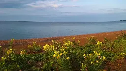 New North Shore preserve protects rare wetlands and geology