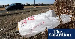 California’s Gavin Newsom signs law banning all plastic bags at grocery stores