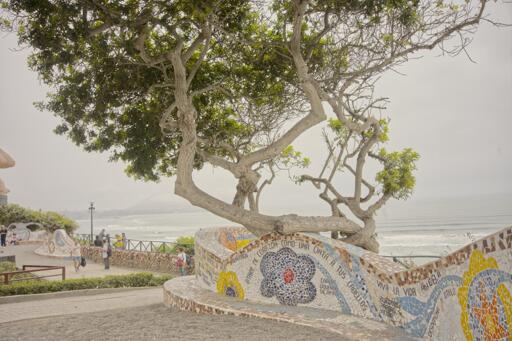 A salt-battered old tree leans over a mosaic sea wall. In the distance can be seen the gray sea below and the gray sky above. Parque del Amor, Lima, Peru. Photo by Peachfront. Nov 2024.