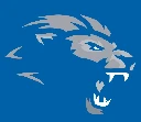 Detroit Lions