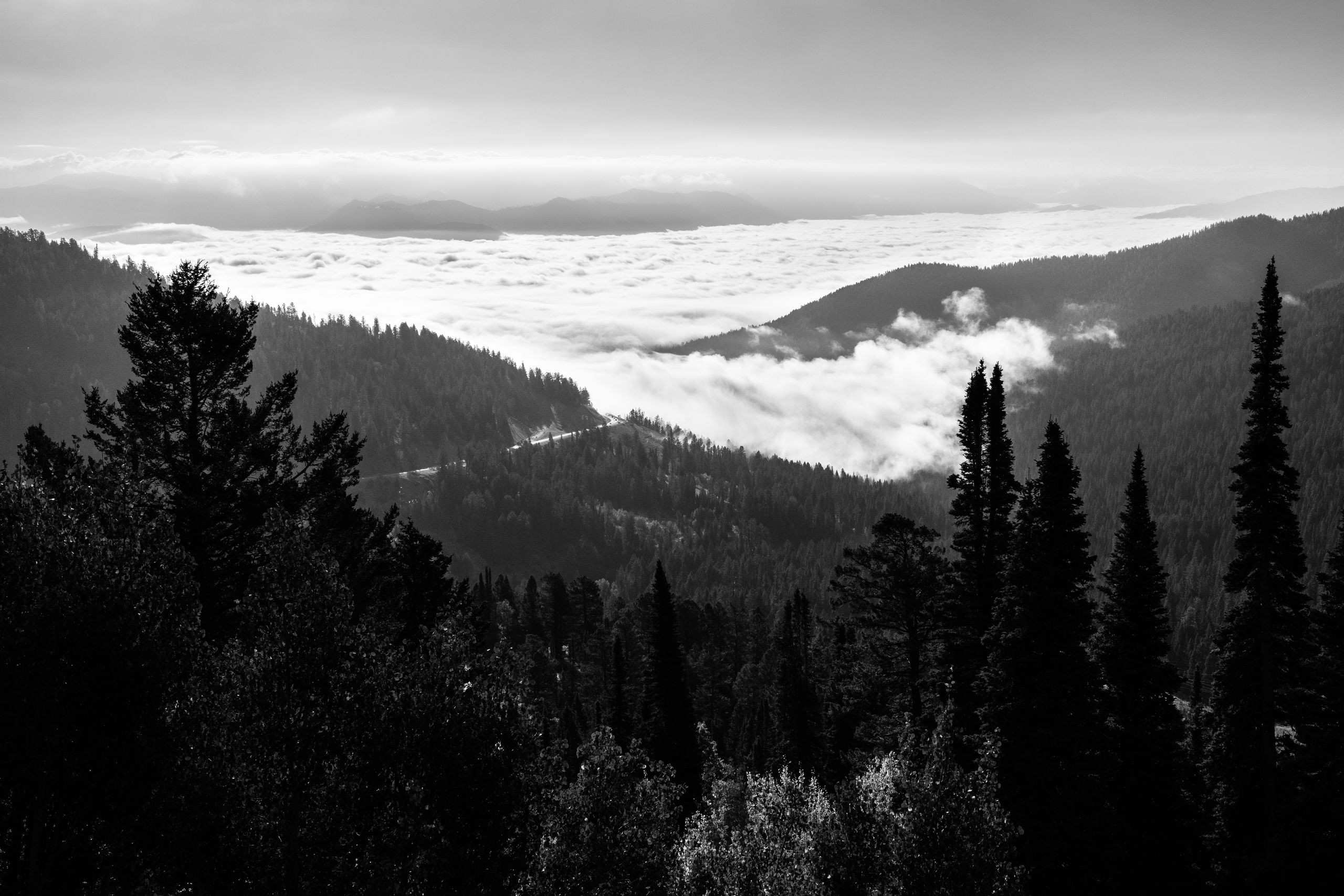 A landscape view of Jackson Hole from Teton Pass during a weather inversion; a forested mountainous area with clouds covering the valley.