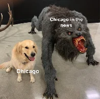 Chicago Rule