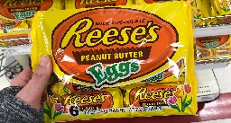 Nation Once Again Agrees That Easter Candy Made of Exact Same Ingredients as Regular Candy Tastes Better Due to Shape
