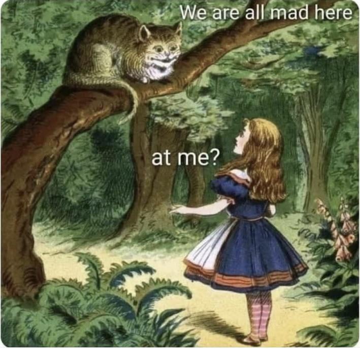 cheshire cat: we are all mad here - Alice: at me?