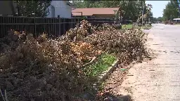 City gives timeline for Tulsa tree debris removal
