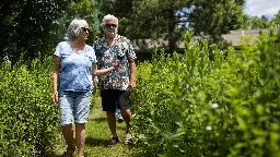 Native plants, lots of patience: How a Stearns County couple restored a damaged lakeshore