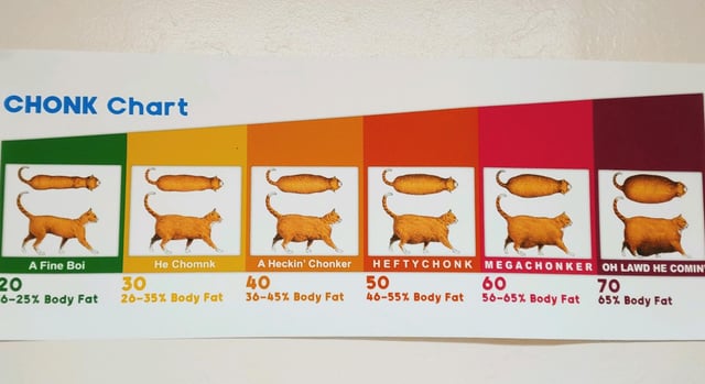 Cat weight chart from skinny to large. Last one titled oh lawd he comin